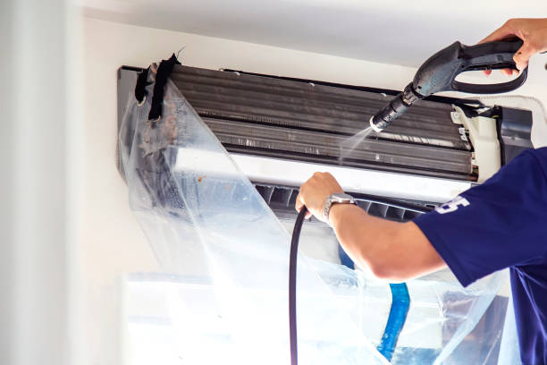 Best HVAC Duct Inspection Services  in Lamont, MI