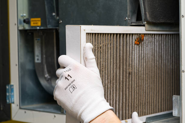 Professional Airduct Cleaning in Lamont, MI