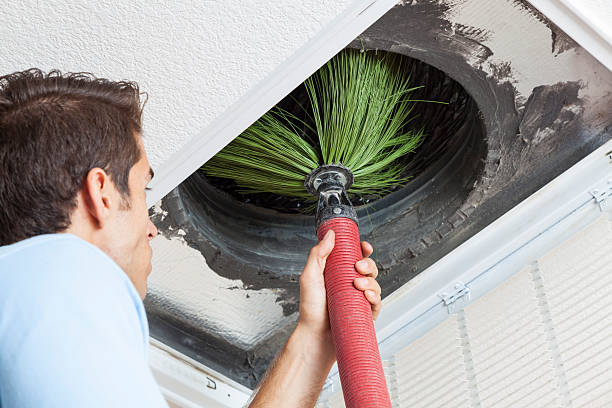 Best Residential Air Duct Cleaning  in Lamont, MI