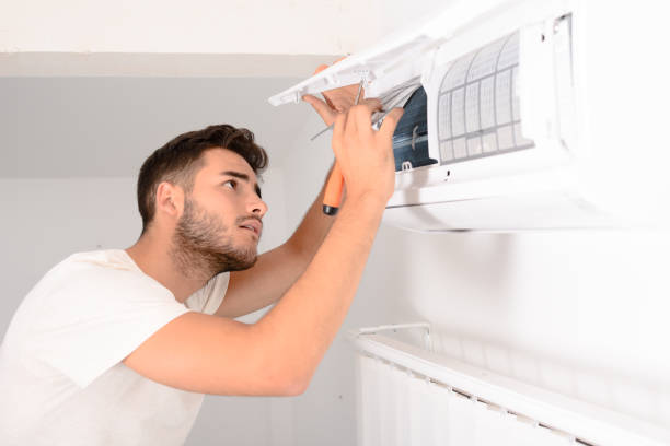 Best Ductwork Cleaning Services  in Lamont, MI