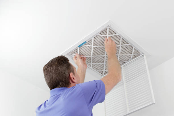 Best Residential Air Duct Cleaning  in Lamont, MI